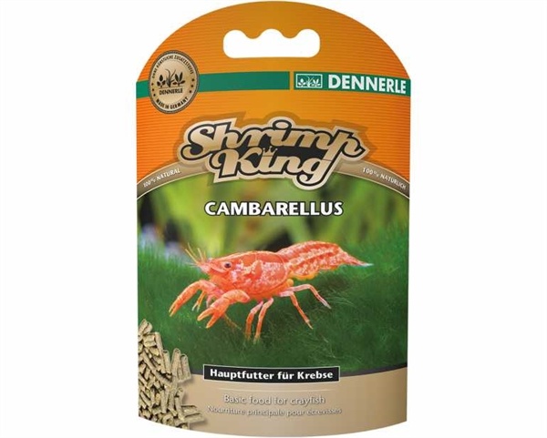 Dennerle shrimpking cambarellus